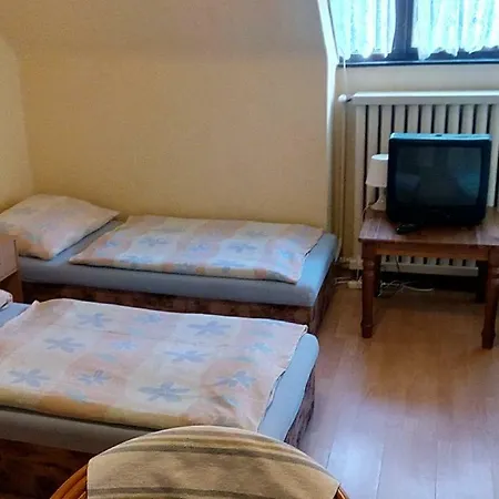 Prazdnonovy Dom. Vila Thoma Modra